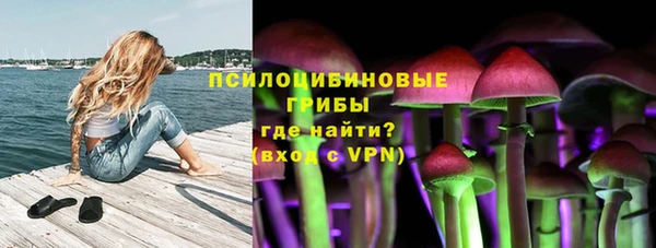 бошки Туринск