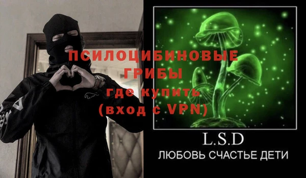 амф Вязьма