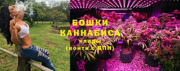 амф Вязьма