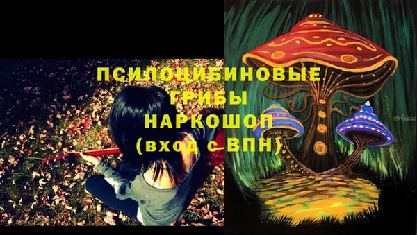 кокс Тында
