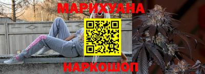 прущие грибы Абакан