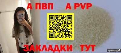 прущие грибы Абакан