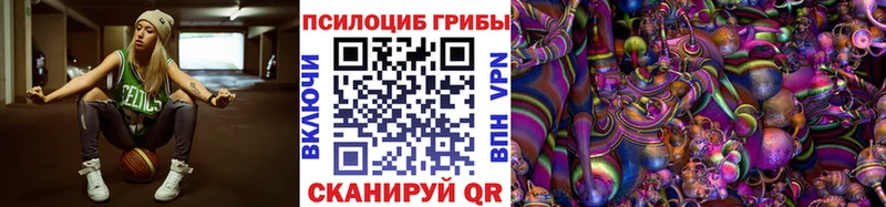 Псилоцибиновые грибы GOLDEN TEACHER кракен как зайти Минеральные Воды даркнет сайт