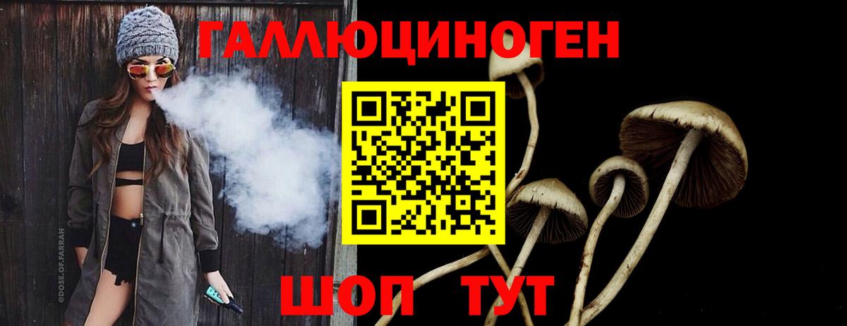 Псилоцибиновые грибы GOLDEN TEACHER Минеральные Воды